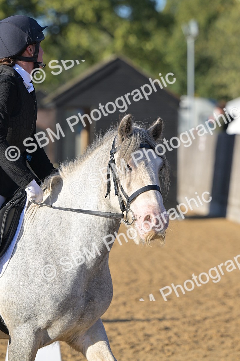SBM_13168 - D3 - Small Tour Championship Intro 3