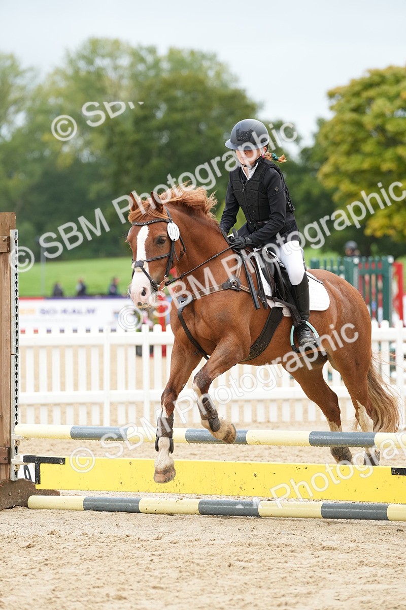 SBM_32496 - J5 - Junior Pony 50cm Championship