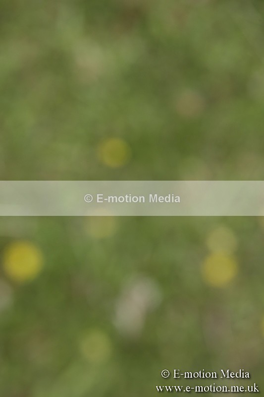 BVR160717-1391 - Class 3 Dressage 16/07/17