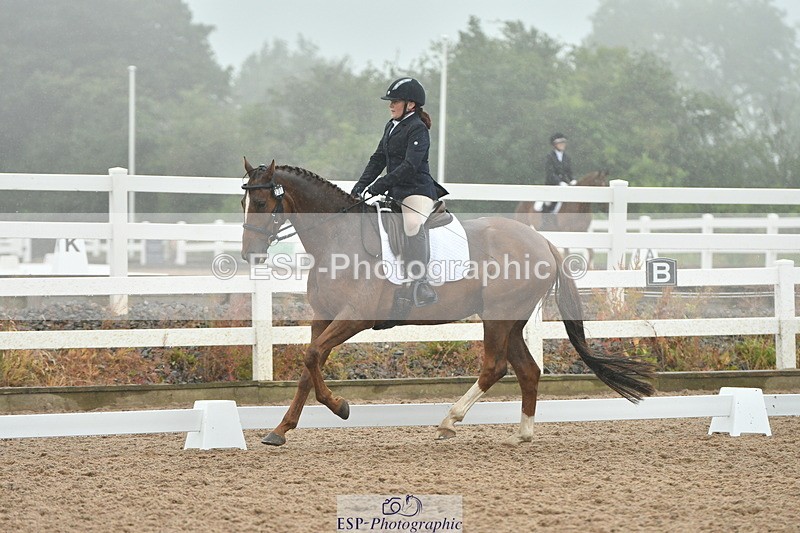 230708A-151040-03012 - Elementary 43