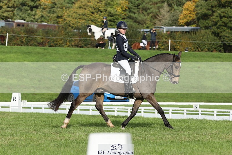 251024A-102833-07769 - D-345-Neve.Webber