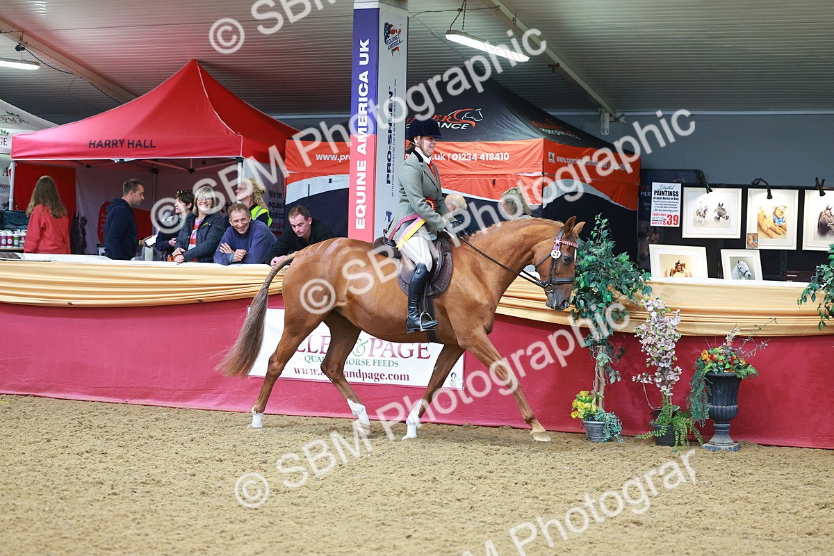 SBM_09901 - Class 102 - HOYS Veteran Qualifier - Ridden Veteran