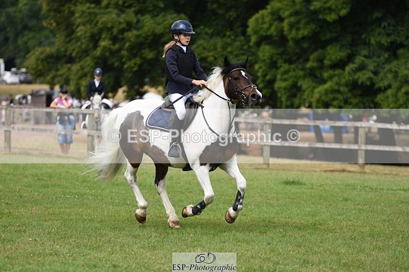 230617-101718-01857 - Cls 15 British Novice & 80cm Open