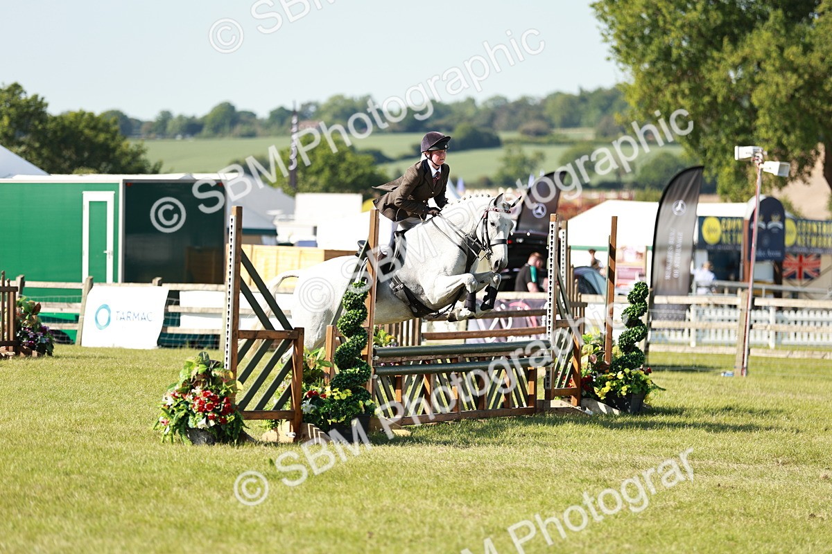 SBM_19168 - Class 115-116 - LIHS BSHA Rising Star Working Hunter & Show Horse