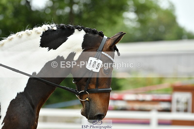 230630A-120901-01782 - Cls 7 Elementary 45