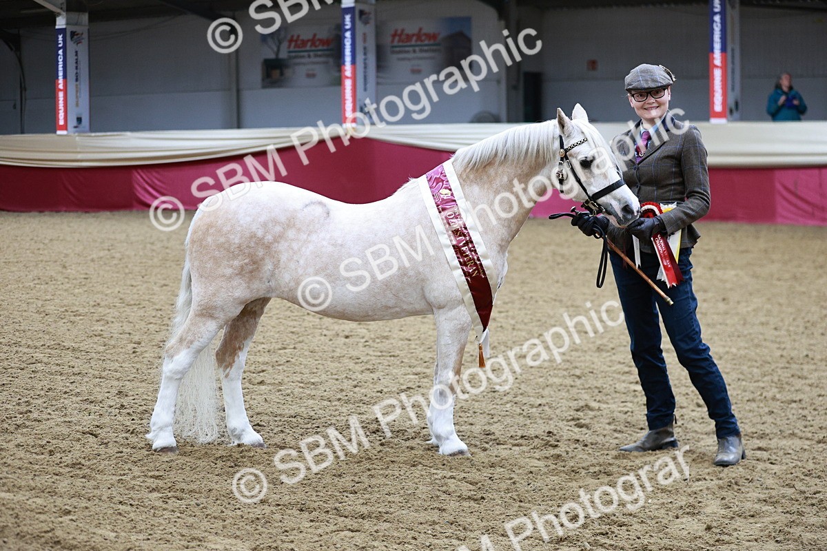 SBM_00348 - Class 1A - Area IH Diamond