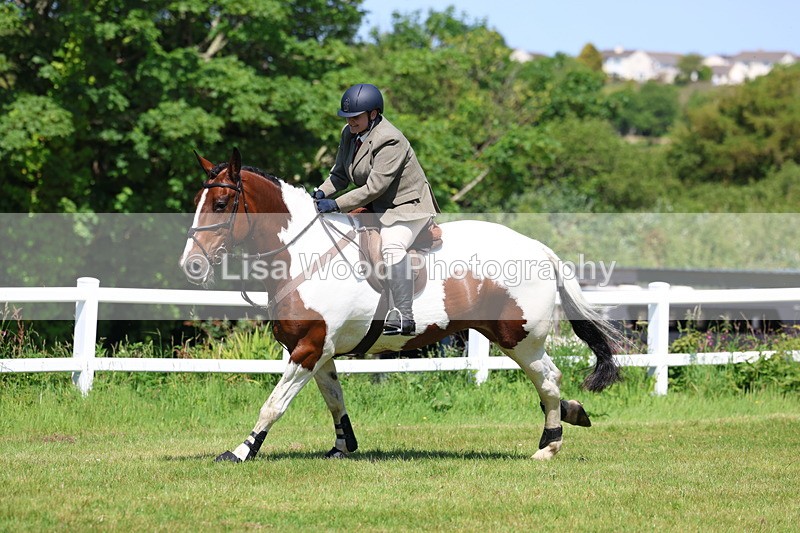3E7A6889 - Class 30: Novice Working Hunter