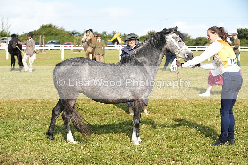 DSC05054 - Class 48: NPS M&M 2/3 year olds
