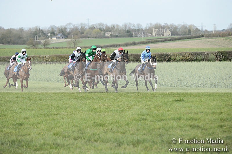PtP 230319 415 - VWH Hunt Siddington Point-to-Point Racing 23/03/19