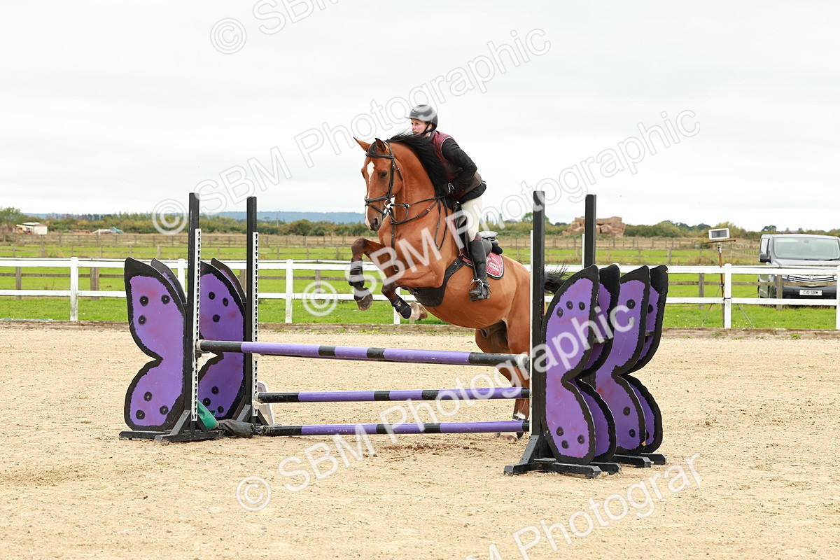 1I0A6742 - Class 2 - Senior British Novice