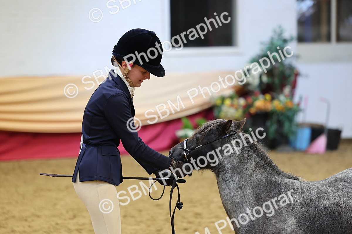 SBM_22857 - Class 903 - Supreme Final - IH Pre Vet