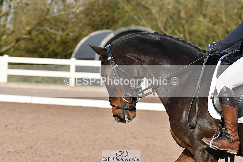 231104A-120540-00365 - Cls 7 Elementary 43