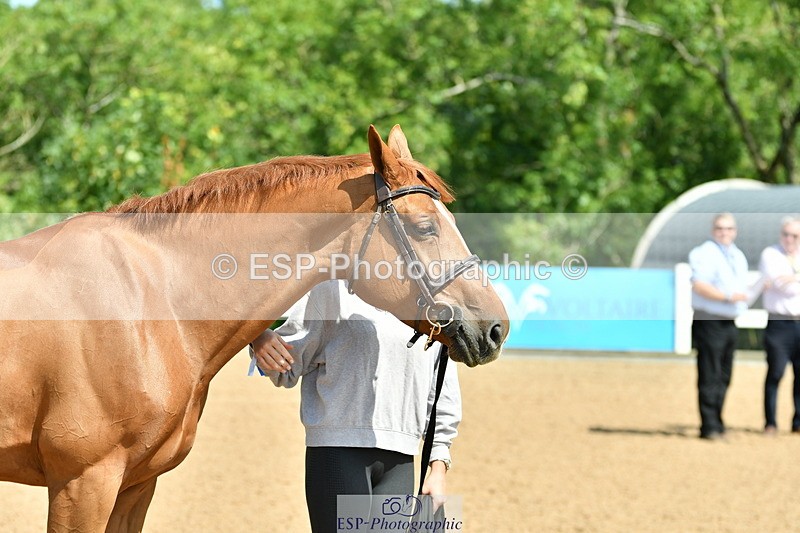230719A-112236-00007 - Trot Up 11am to 12pm