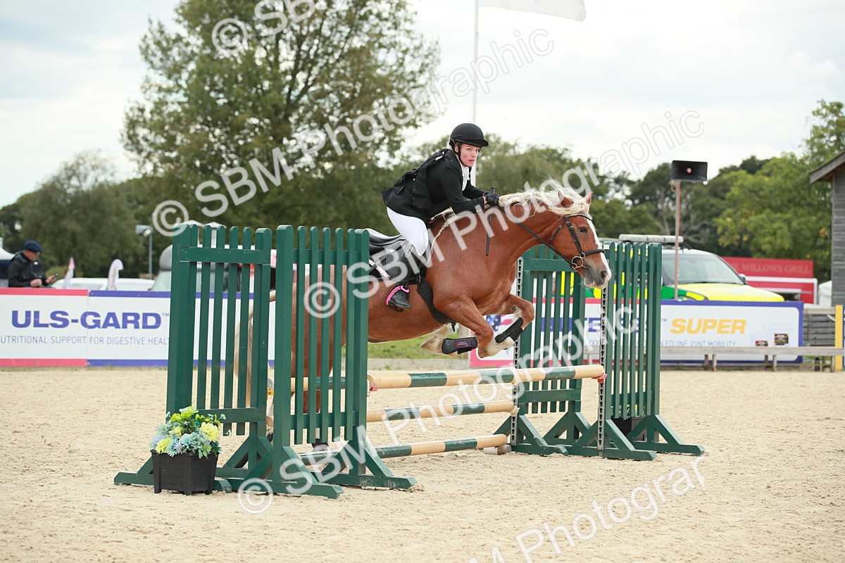 SBM_10125 - J31 Senior 75cm Championship