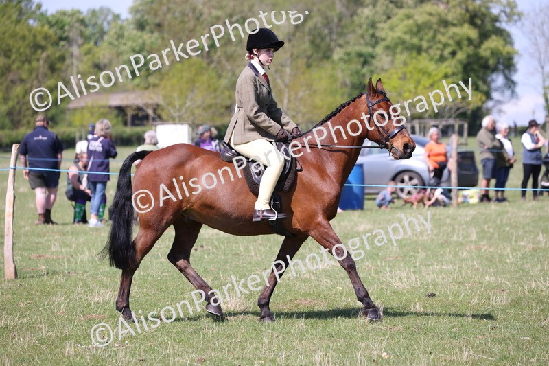 20250427-3173 - Class 33 - Best Pony 14.2hh and Under