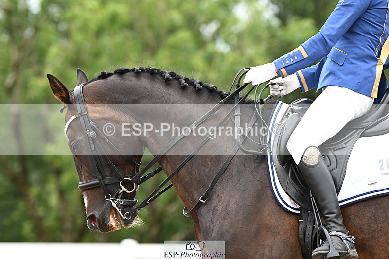 240815A-133629-01567 - 201-Natasha.Collings-Costello-Dovevale.Tender.Dove