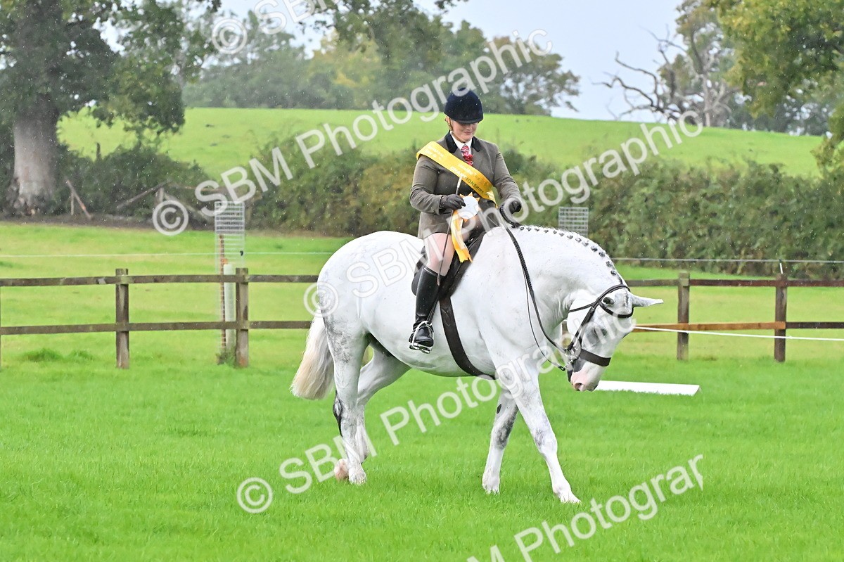 SBM_35765 - S16 - Top Turnout - Ridden