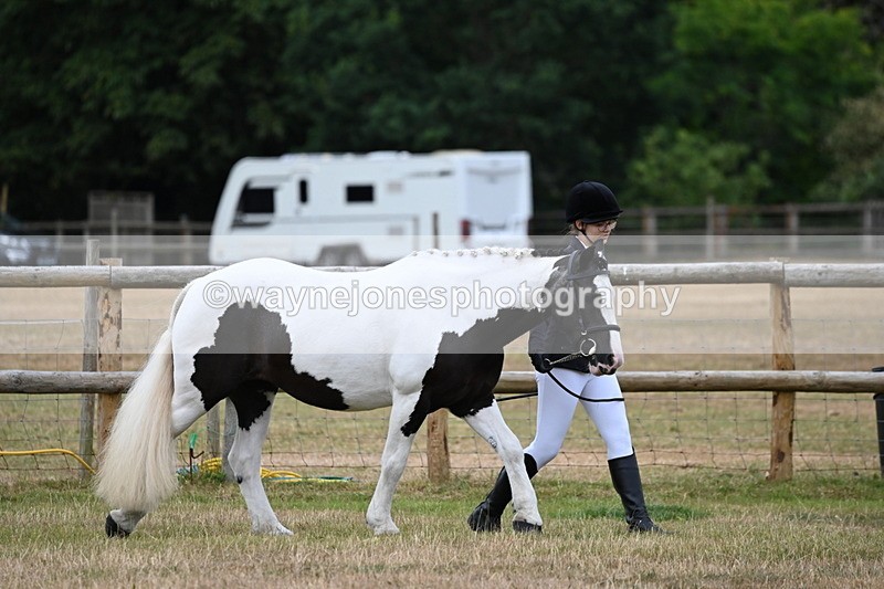 WJ6_4145 - Class 10 Coloured In-hand