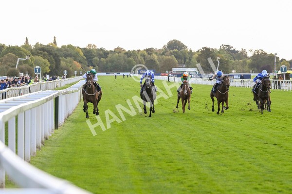 111024-Race 3-Minstrel Knight-1612 - Race 3 2.40pm William Hill Finale Handicap