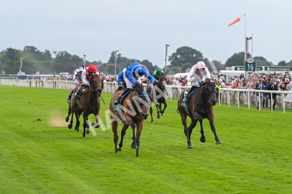 220825-Race 2-Trawlerman-7054 - Race 2 2.25pm Weatherbys Lonsdale Cup Stakes