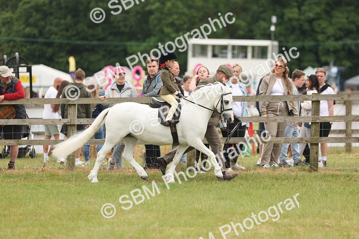 SBM_06676 - Class 74-75 - M&M Lead Rein and First Ridden Pony