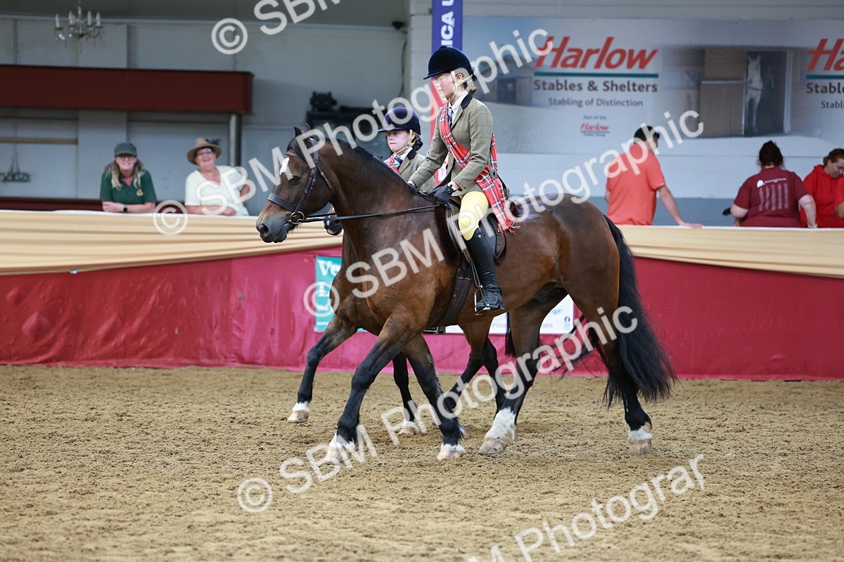 SBM_15554 - Class 109 - Ridden Pairs -Section A