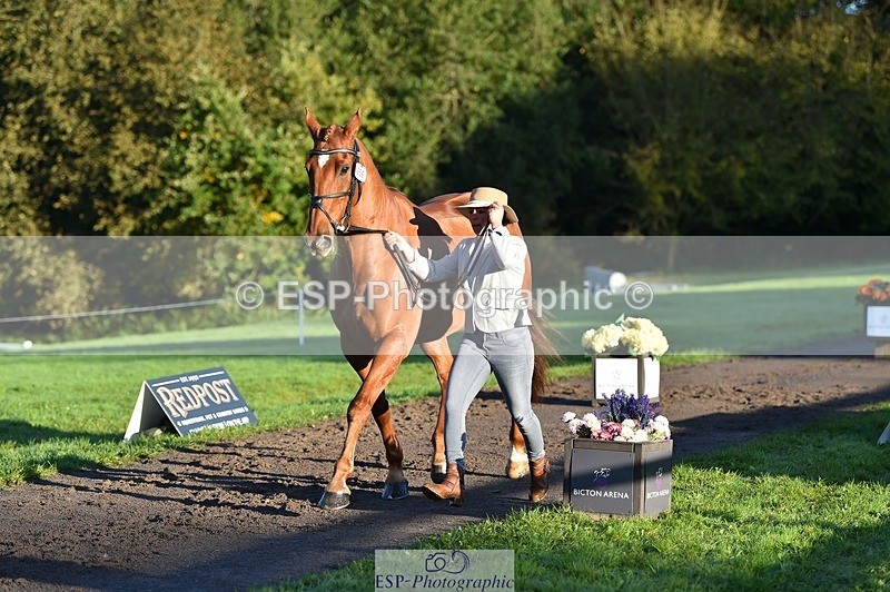 231022-090906-21589 - 656-DUNARD.RED.KNIGHT-Naomi.Watkins-TrotUp+SJ