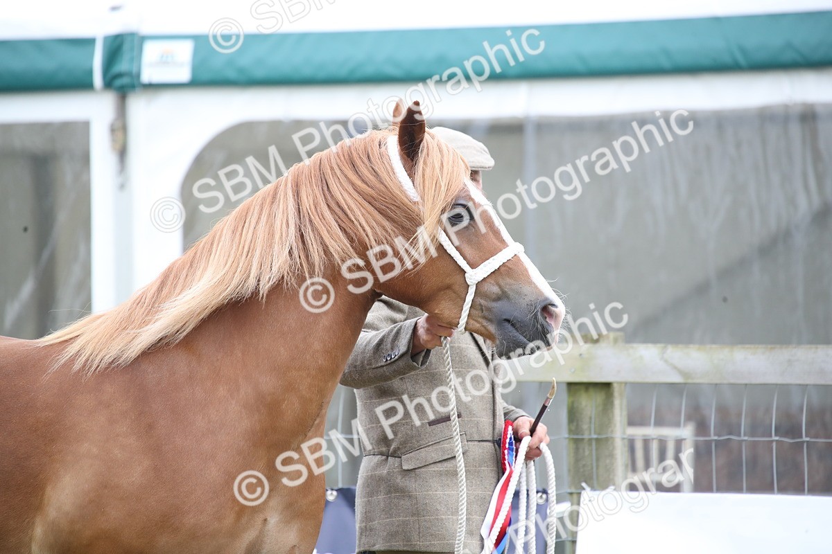 SBM_09709 - Ch 50 - Price Family Supreme In Hand