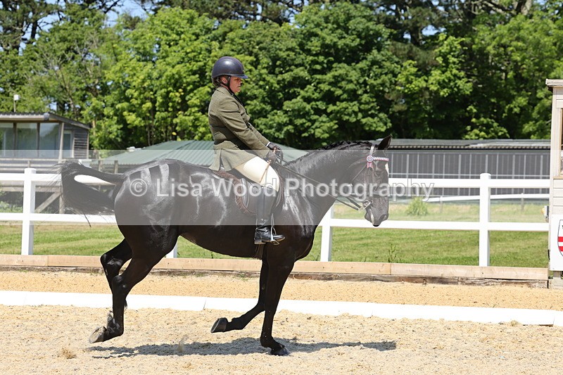 1X9A1856 - Class 12: Ridden Riding Horse/Hack