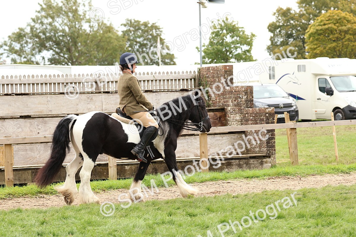 SBM_64397 - S58 - Coloured Pony Ridden