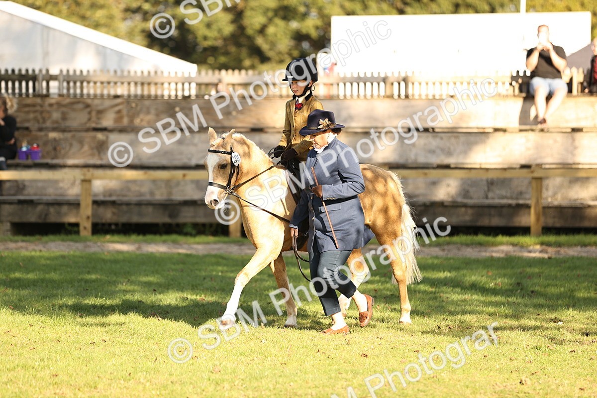 SBM_29386 - S7 - Novice & Newcomers Ridden Pony