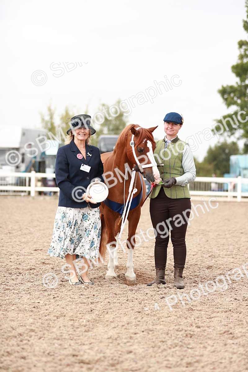 SBM_12552 - Class 207 IH M&M