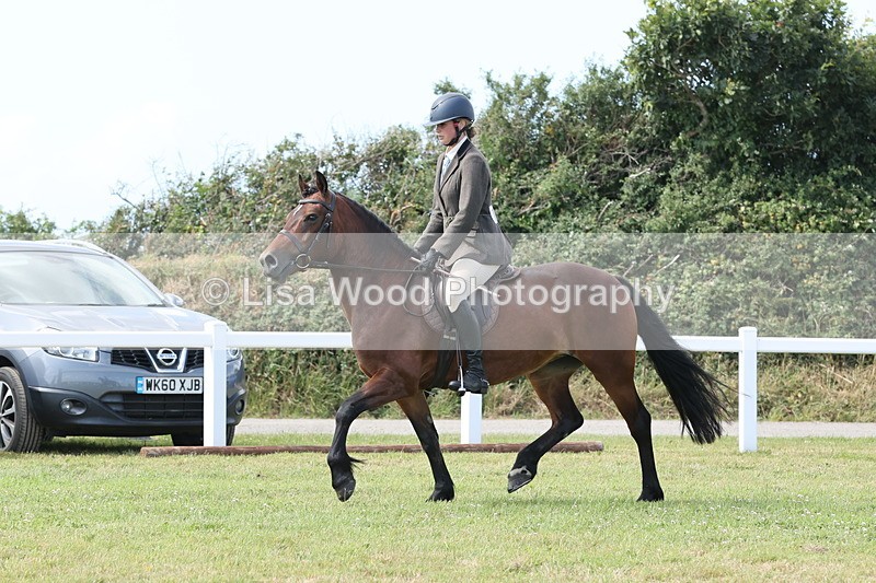 JPP_2402 - Class 19: Working Hunter 60cm