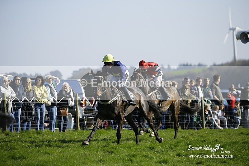 PtP 190322 736 - Wilton Hunt PtP Milborne St Andrew 19/03/22