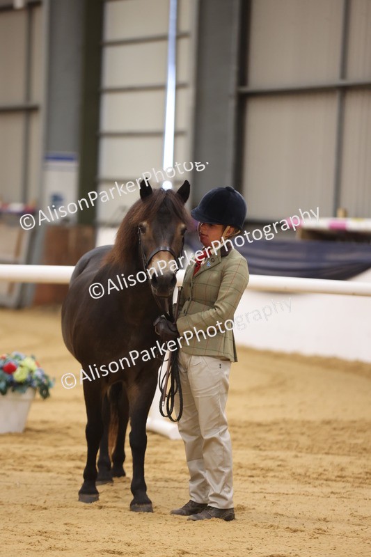 20260913-1123 - Class 110 - Bred In Other In Hand