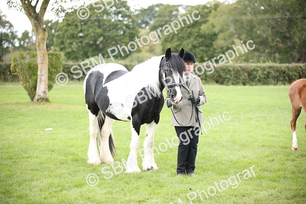 SBM_44422 - S24 - Young Veteran in hand