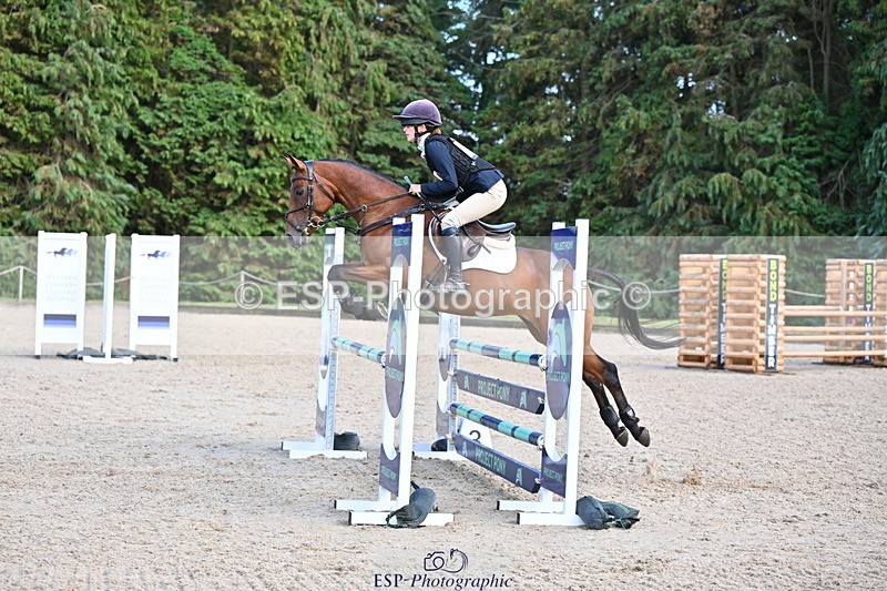 250802A-171421-08292 - H-353-Nancy.Wilson.Connell-BLUESTONE.BUTTERFLY