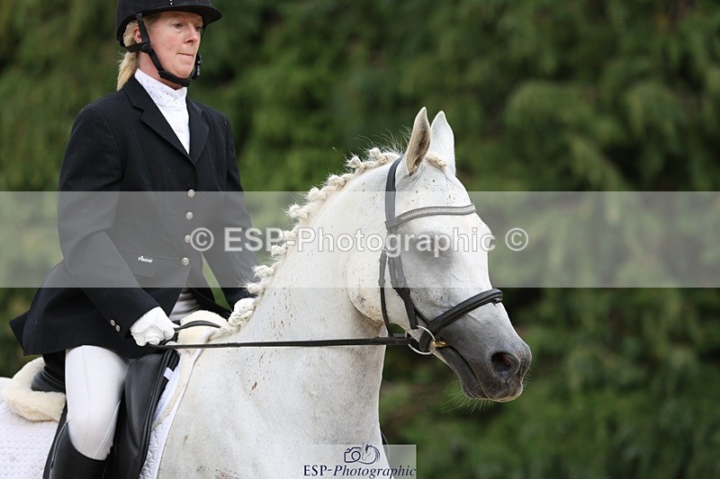 230812-151738-05103 - Cls 5 Novice Bronze 15.00 to End