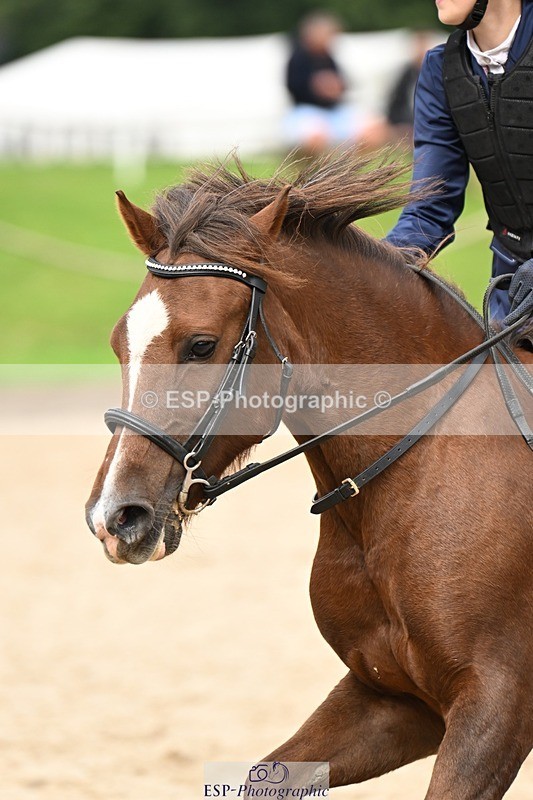 240929-114555-00506 - Cls 2 80-85cm Start to 12.05 CW