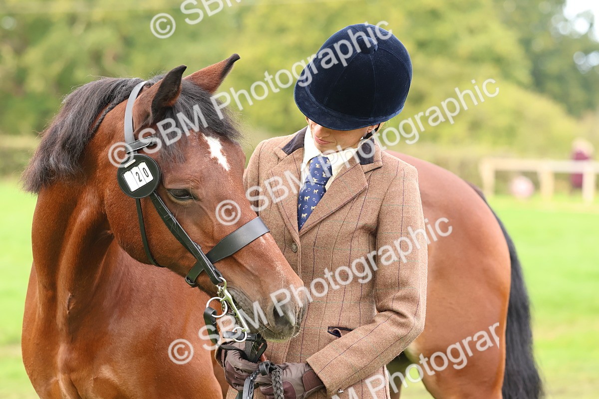 SBM_40757 - S25 -  Veteran In Hand