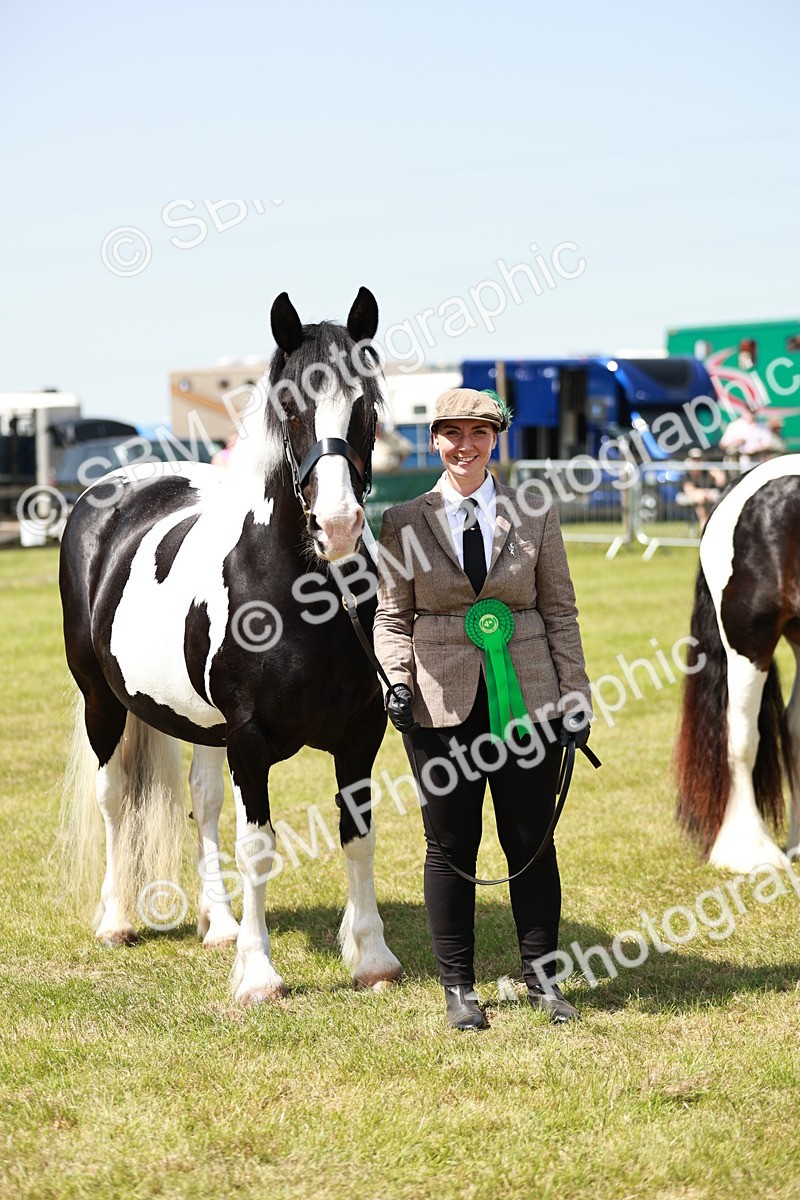 SBM_04275 - Class 39-40 - BSPA Coloured In Hand