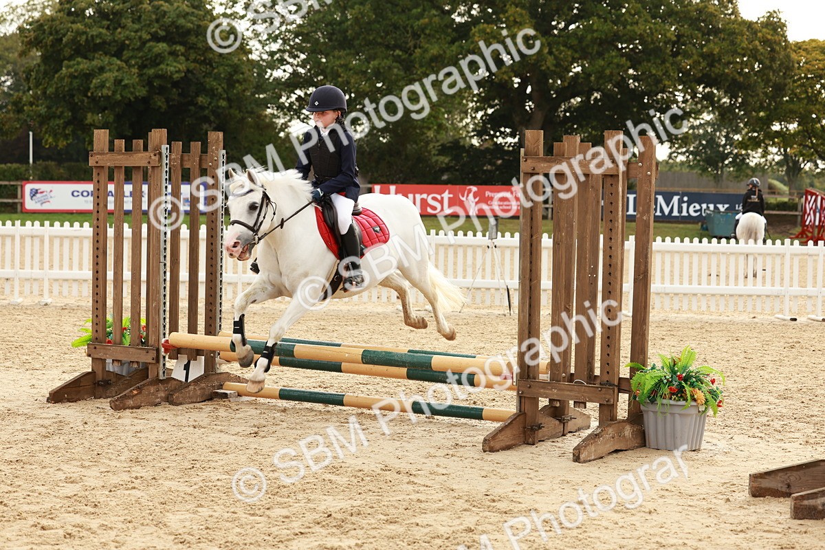 SBM_55764 - J11 - Junior Pony 50cm Championship