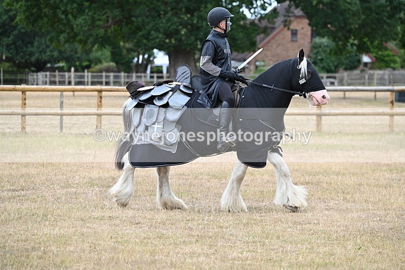 WJ6_8840 - Class 11 Fancy Dress