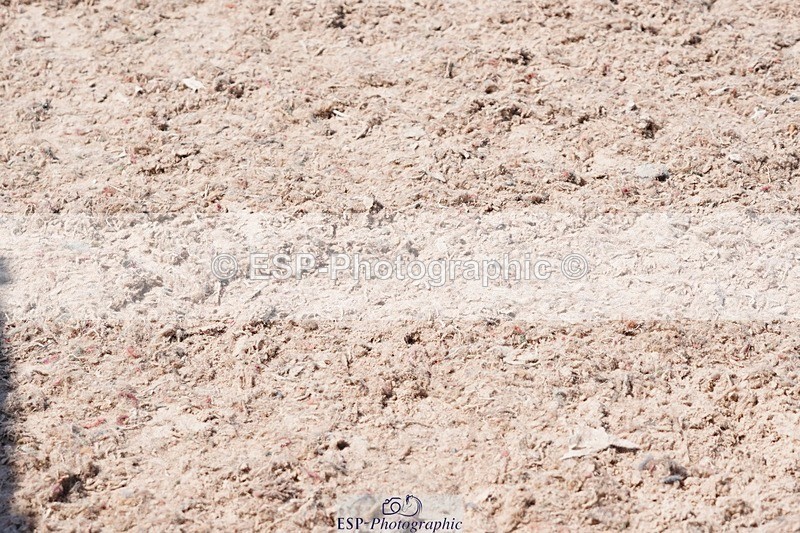 250503-135448-01194 - Cls 27 Stepping Stones