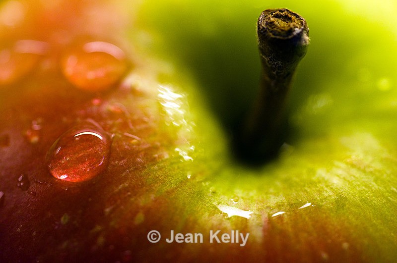 Apple - 7331 - Fruit