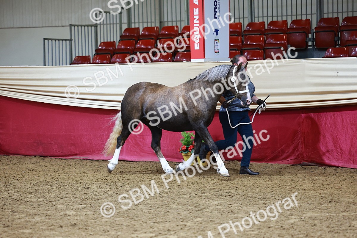 SBM_22139 - Class 902 - Supreme Final - IH Diamond