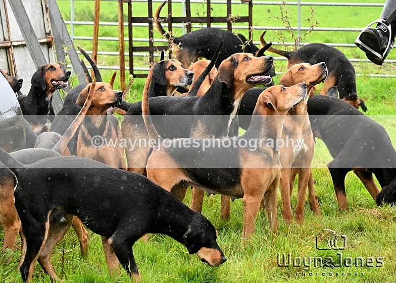 WJ7_8283 - Berks & Bucks Blackcroft Farm 20-10-24