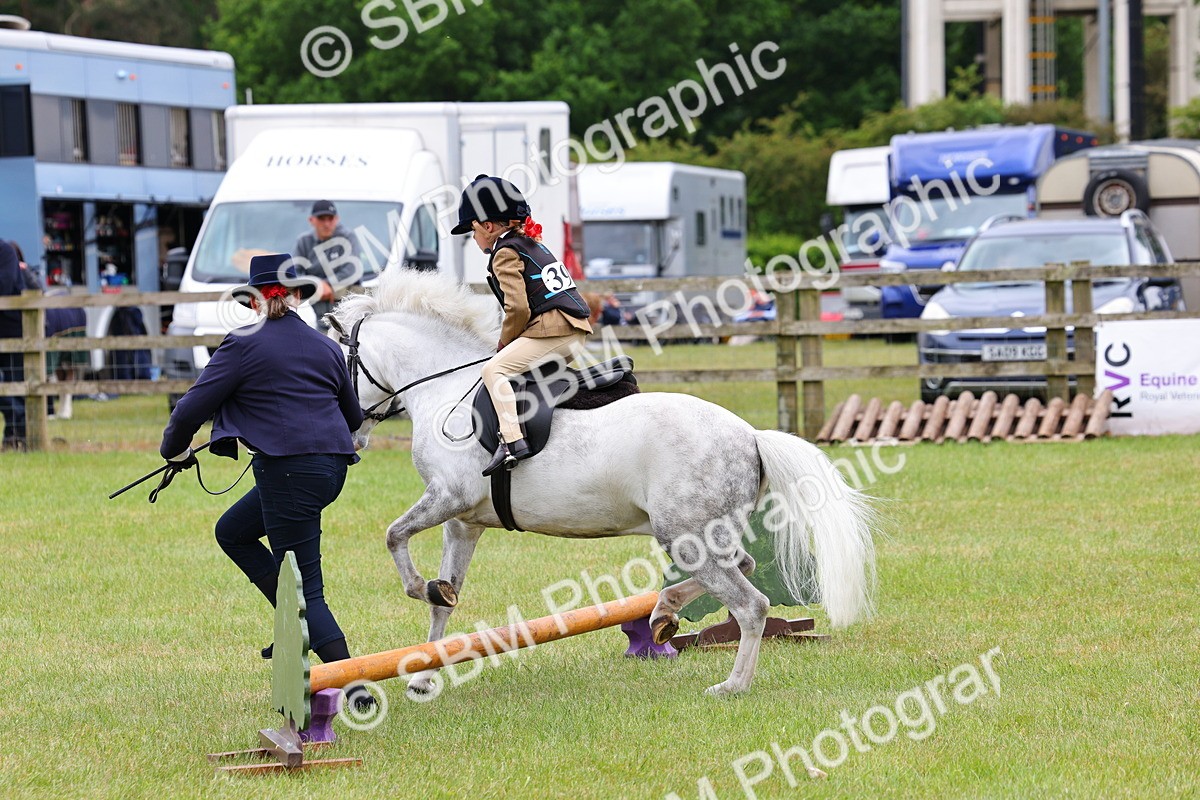 SBM_08133 - Class 42-43 - LIHS BSPS Heritage Working Sports Pony