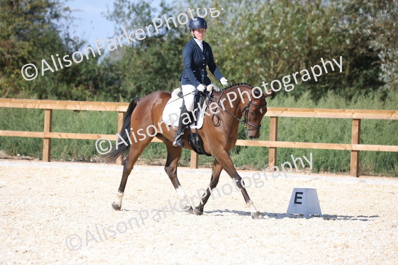 20260905-1486 - Class 5 - Novice 2