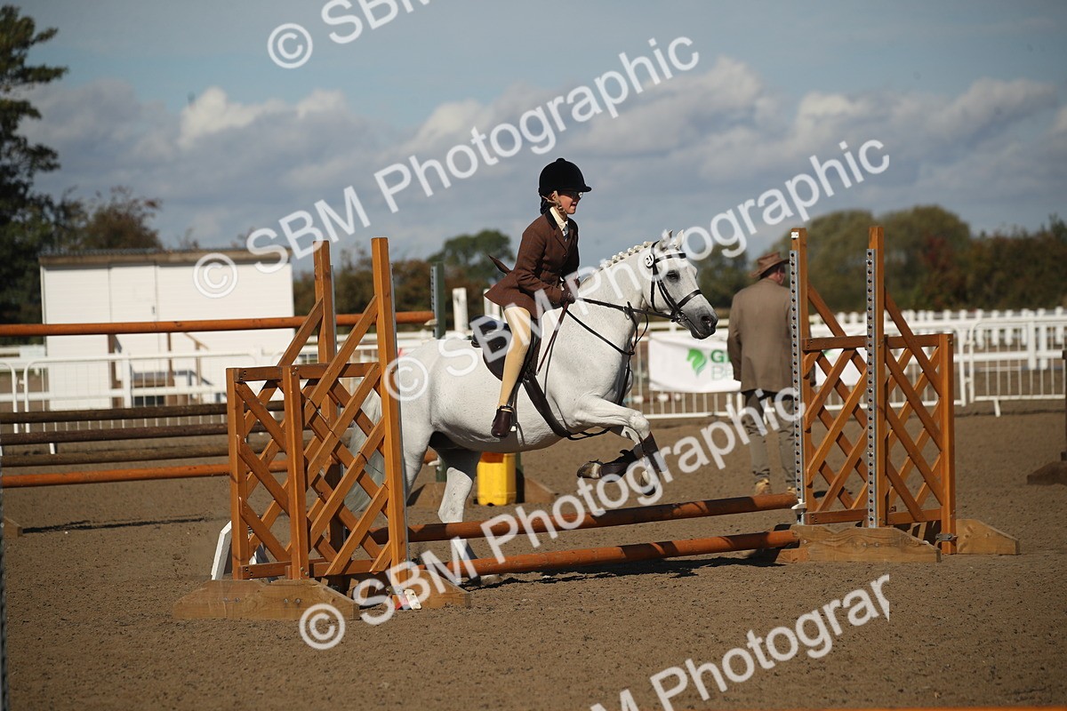 SBM_12748 - Class 504b - Junior Working Veteran - 40cm (20+)